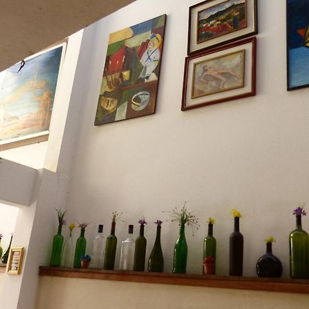 Pousada Flor Amarela Balneário Camboriú Eksteriør bilde