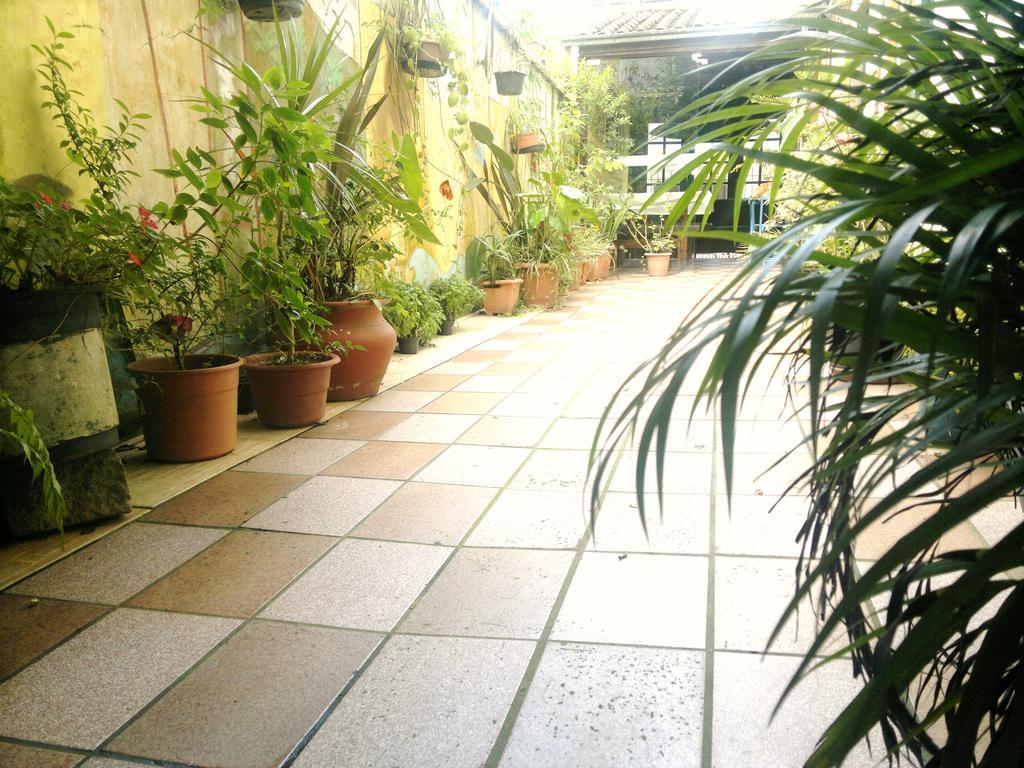 Pousada Flor Amarela Balneário Camboriú Eksteriør bilde